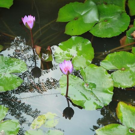 Khach San Linh Huong Hotell Son La Eksteriør bilde